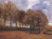 Vincent Van Gogh Autumn Landscape (nn04) oil painting artist